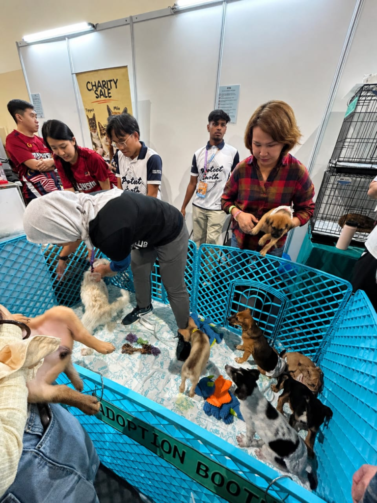 Diuji Kemalangan, STAR Animal Shelter Terus Perjuang Nasib Haiwan Terbiar image